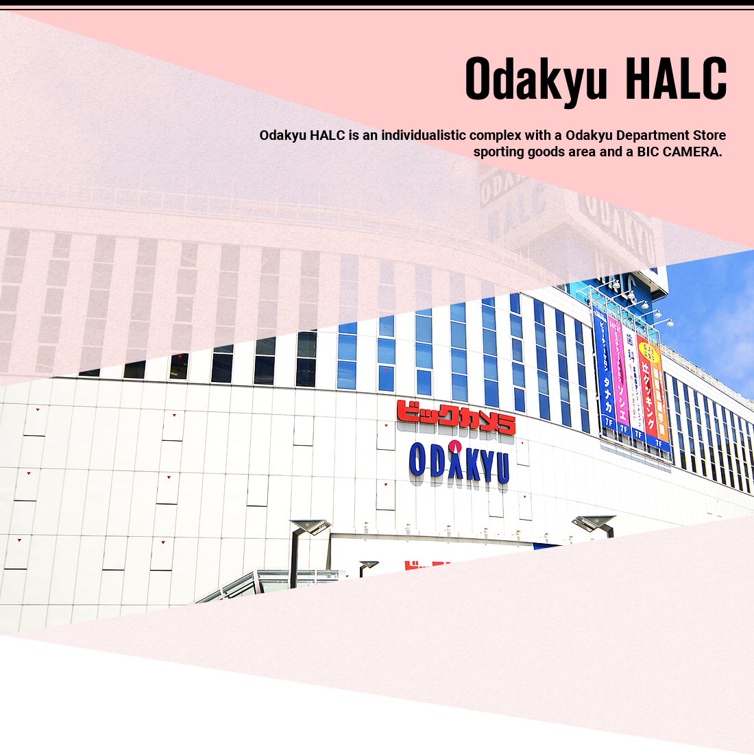 Odakyu HALC is an individualistic complex with a Odakyu Department Store sporting goods area and a BIC CAMERA.